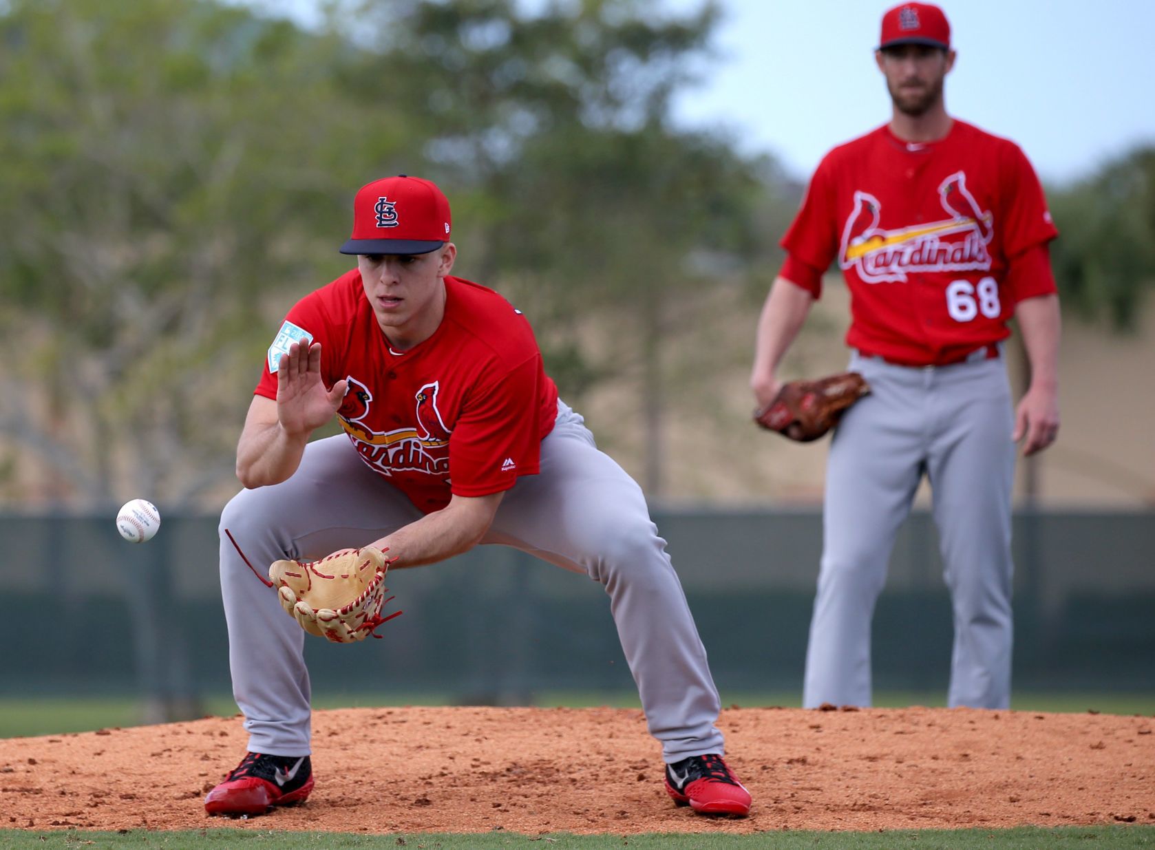 Cardinals spring training continues